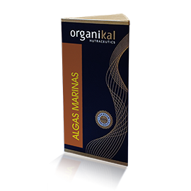 Organikal Algas marinas